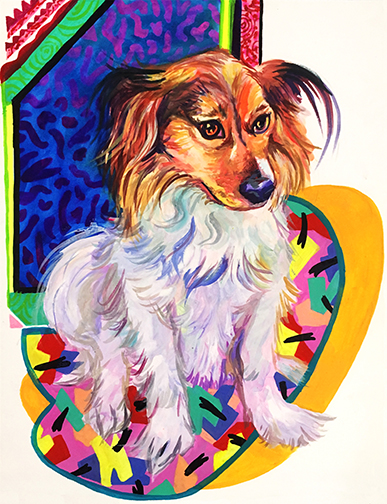 pet6.jpg