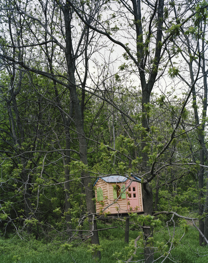 TreeHouse.jpg