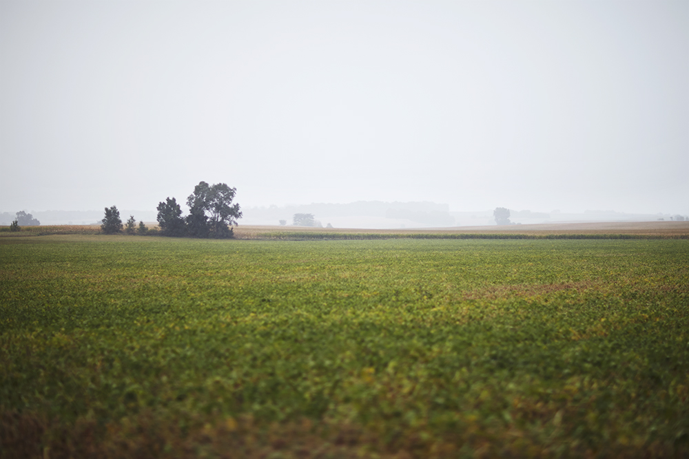 _MG_1486.jpg