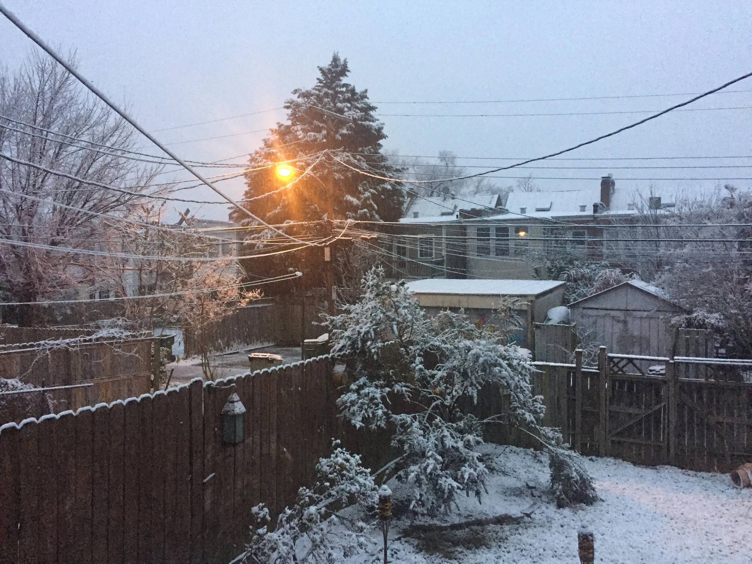 Snow 2017.jpg