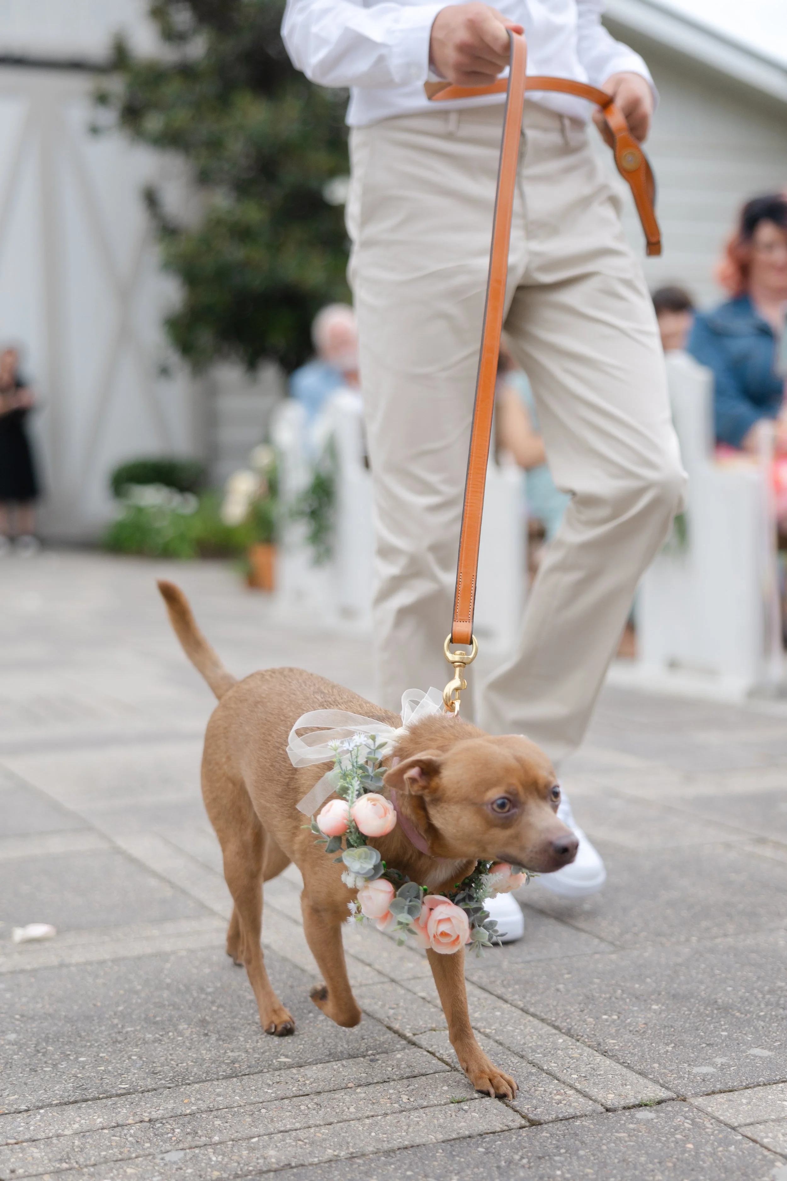 TailoredPhotos-Ceremony-126.jpg