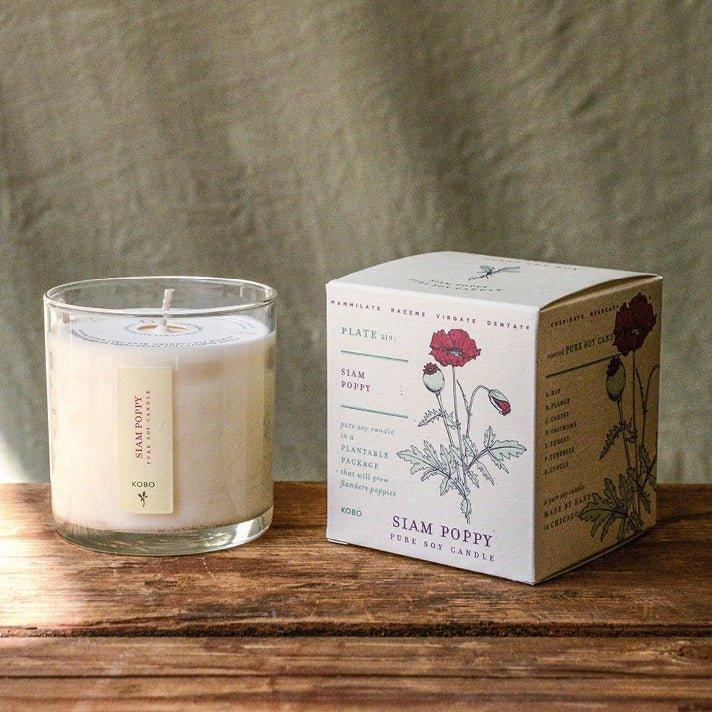 Plant The Box Candle: Catalan Calendula