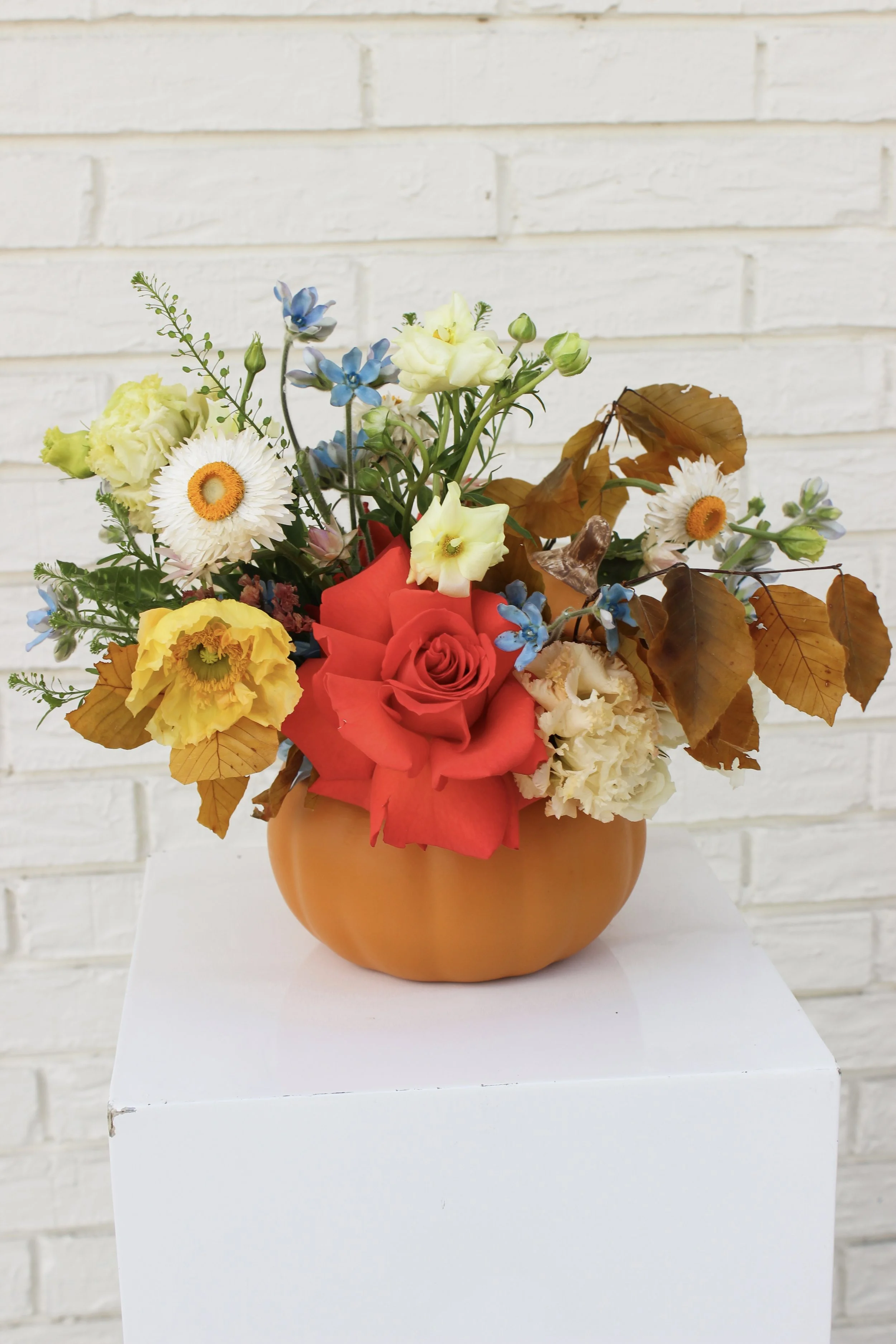 Orange Pumpkin with Lid