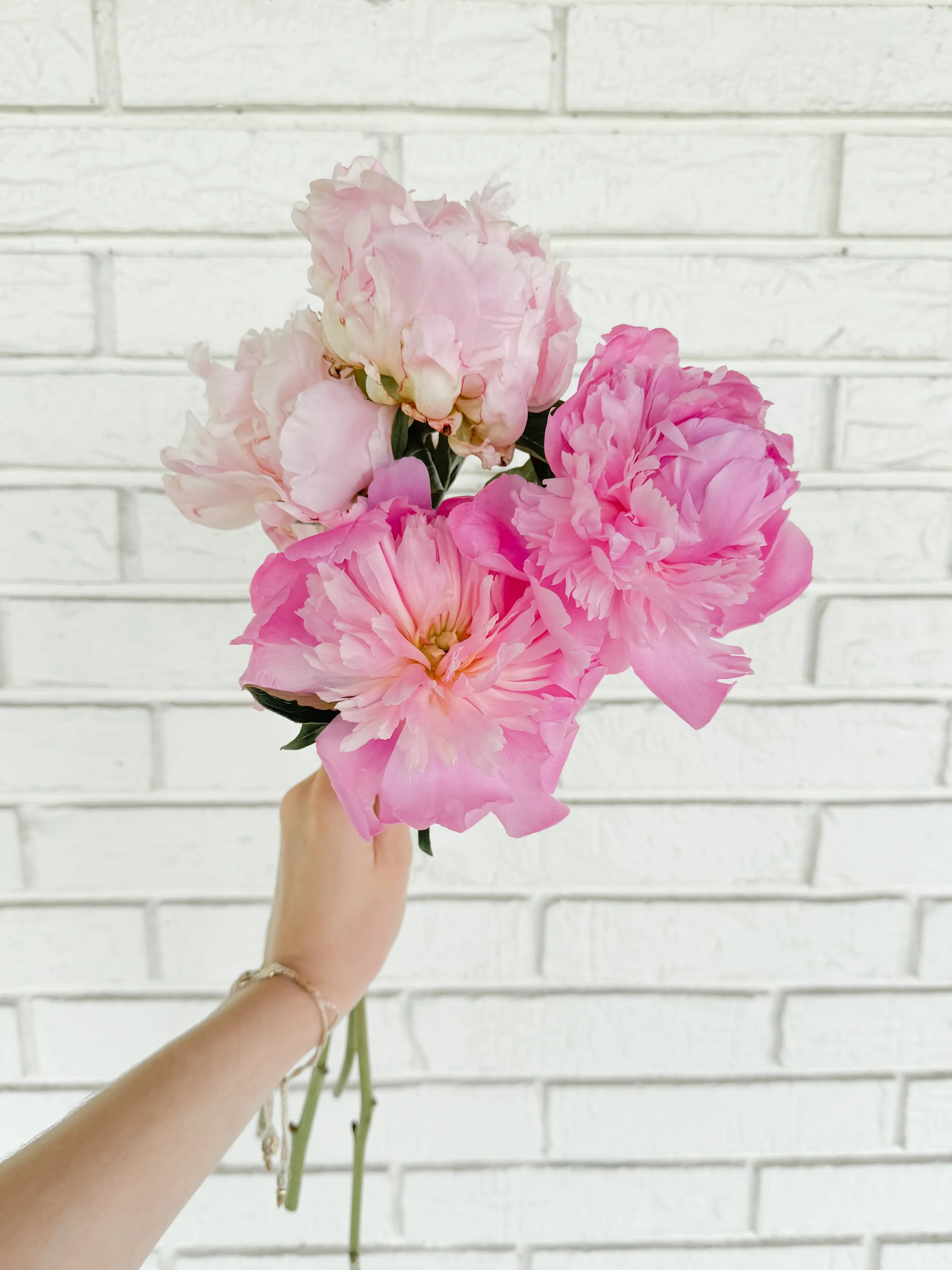 Peonies.JPG