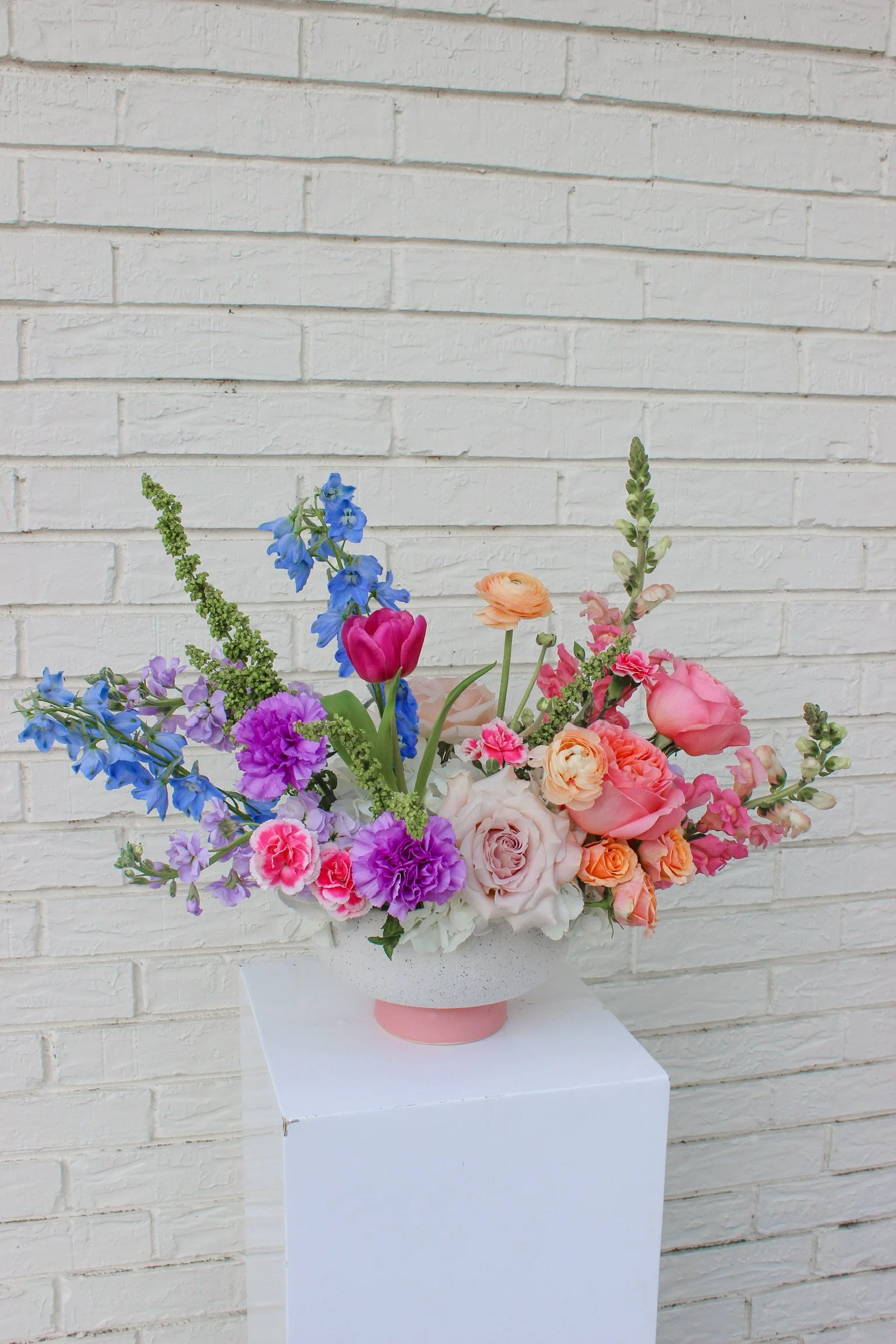 Blush and Bashful.JPG