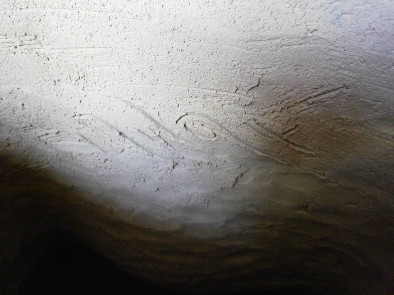 P8290235_l.jpg