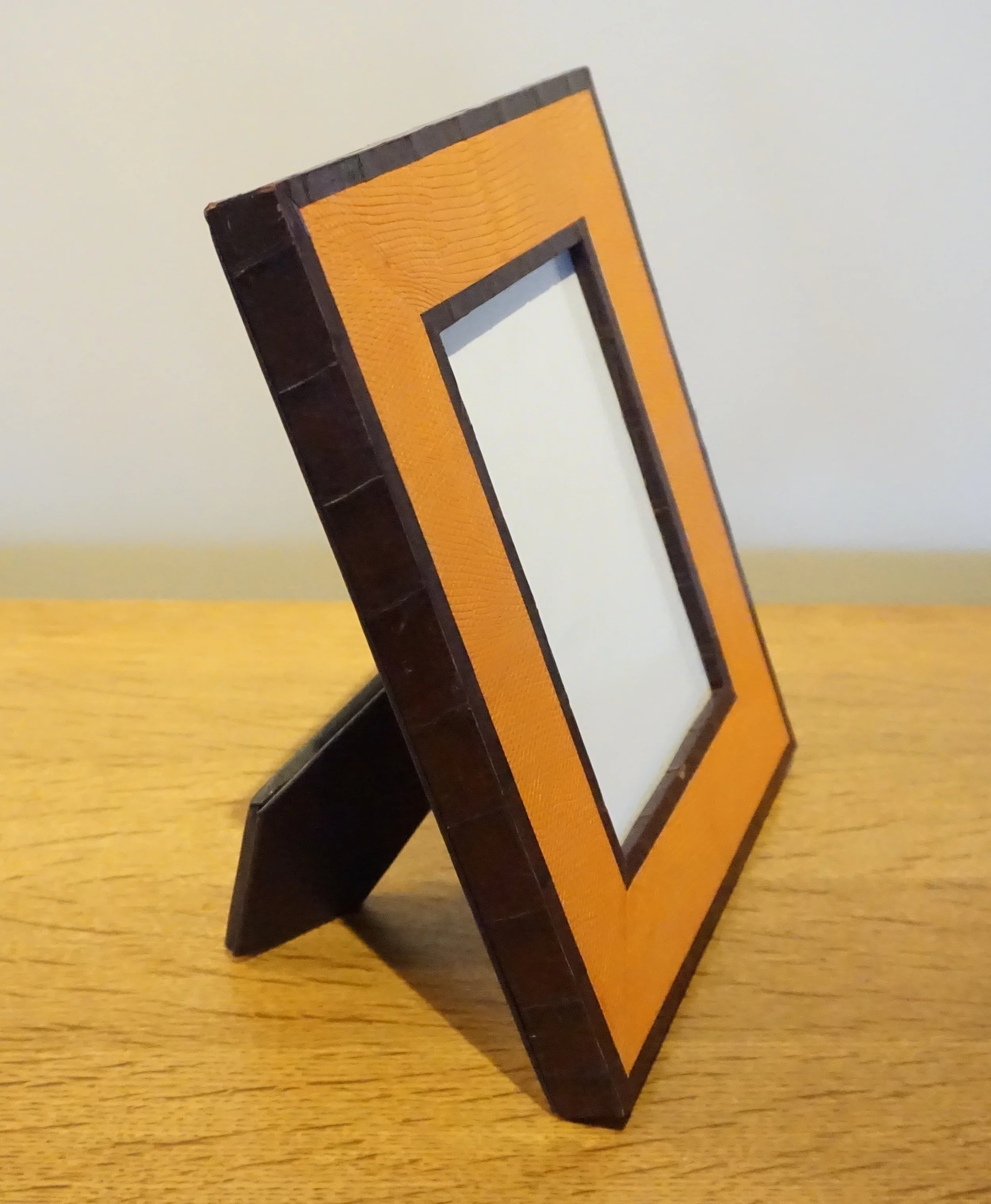 aligator and lizard.JPG