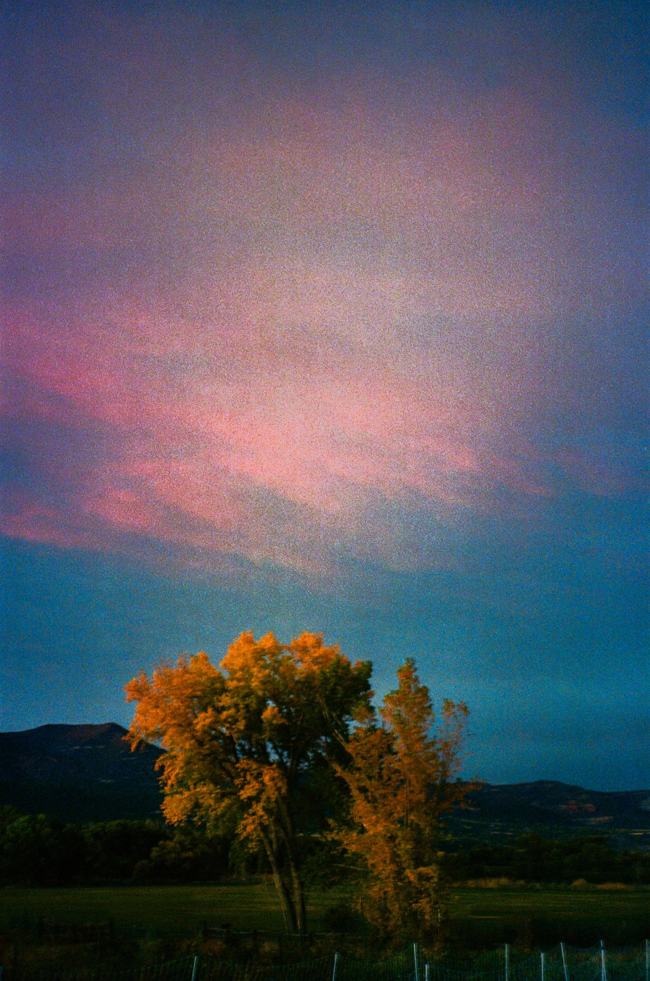 000062180026.jpg