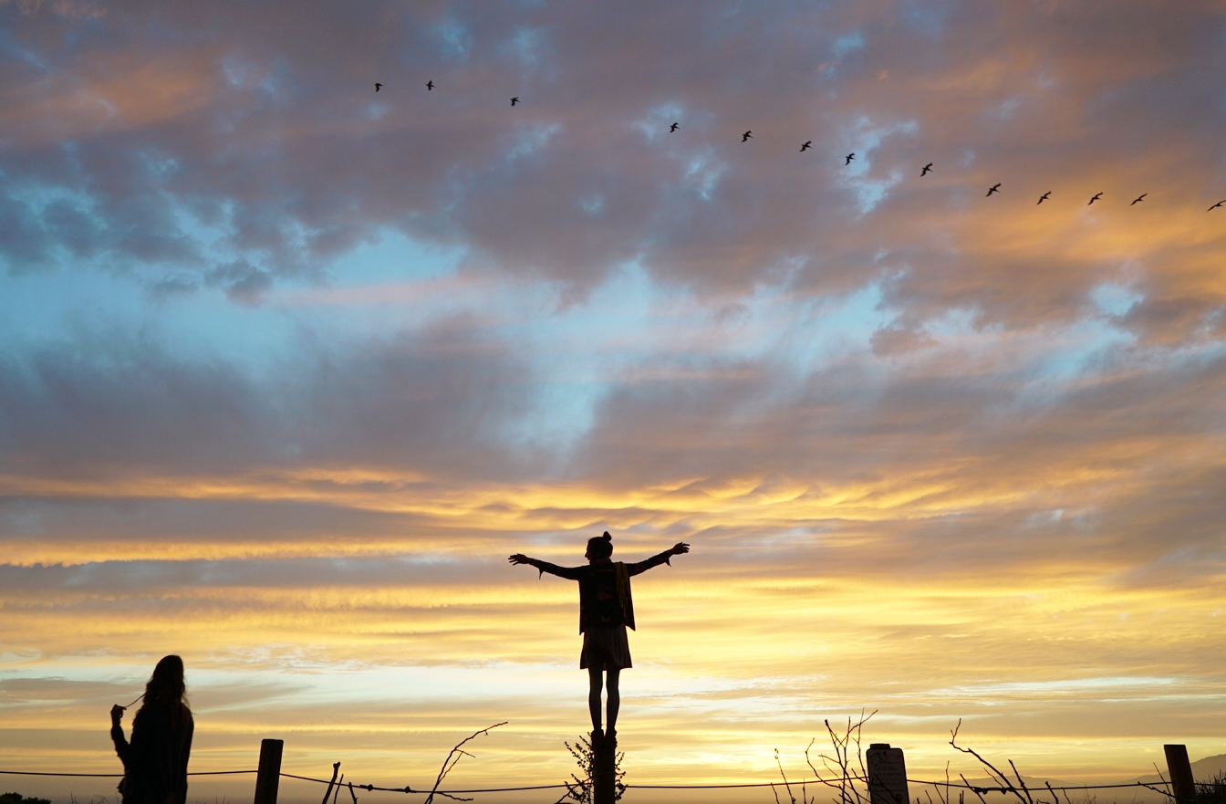 Life is an experiment