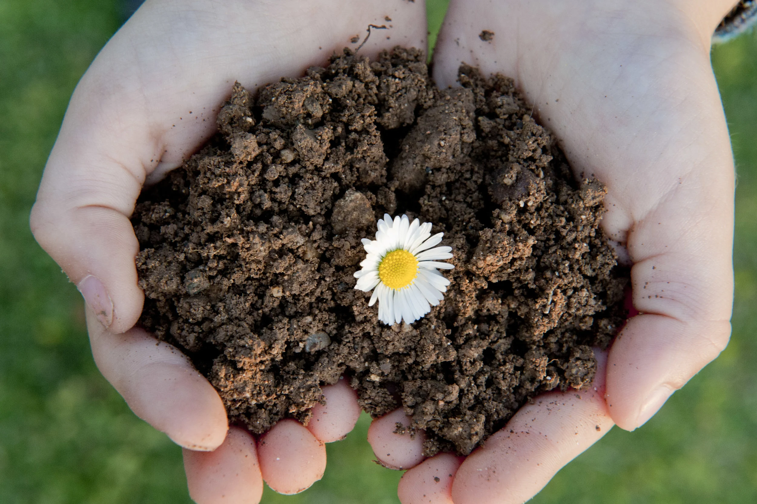Home Composting 101