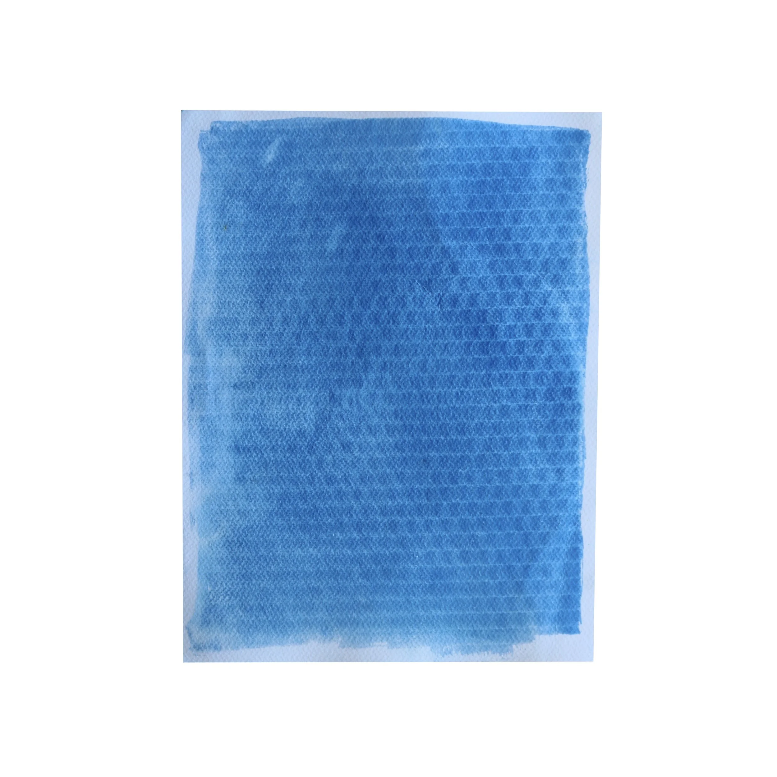   Mellanie D. V.   Nystrom Elementary School | 4th Grade     Untitled  (2026)  Watercolor Paper | Cyanotype 