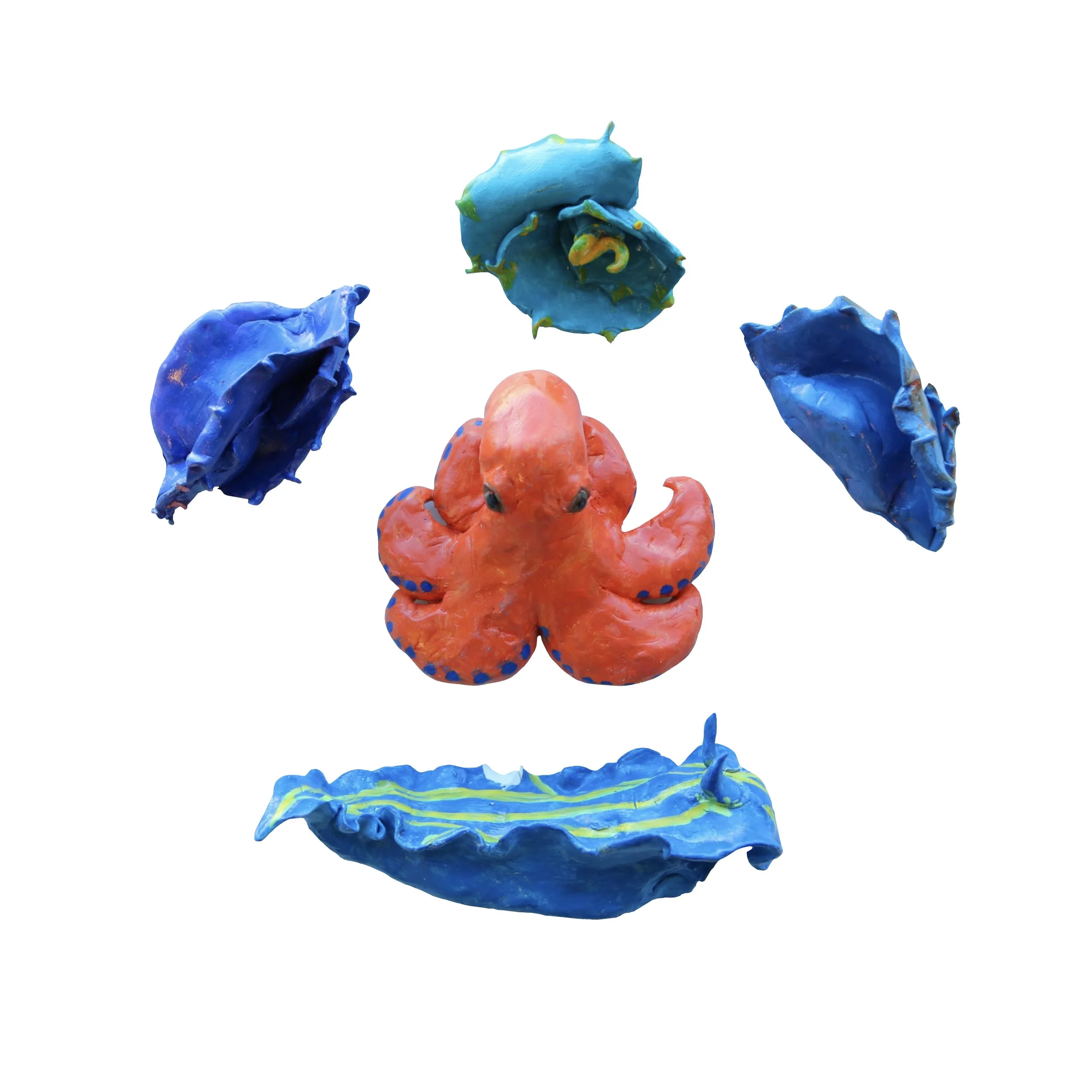   Vance P. B.   West Oakland Middle School&nbsp;| 7th Grade     Deep Dive  (2026)  Sculpey Clay | Paint Markers | Acrylic | Magnets | Super Glue | Polyurethane Varnish&nbsp;    I first started by making detailed drawings of my animals and plants. The