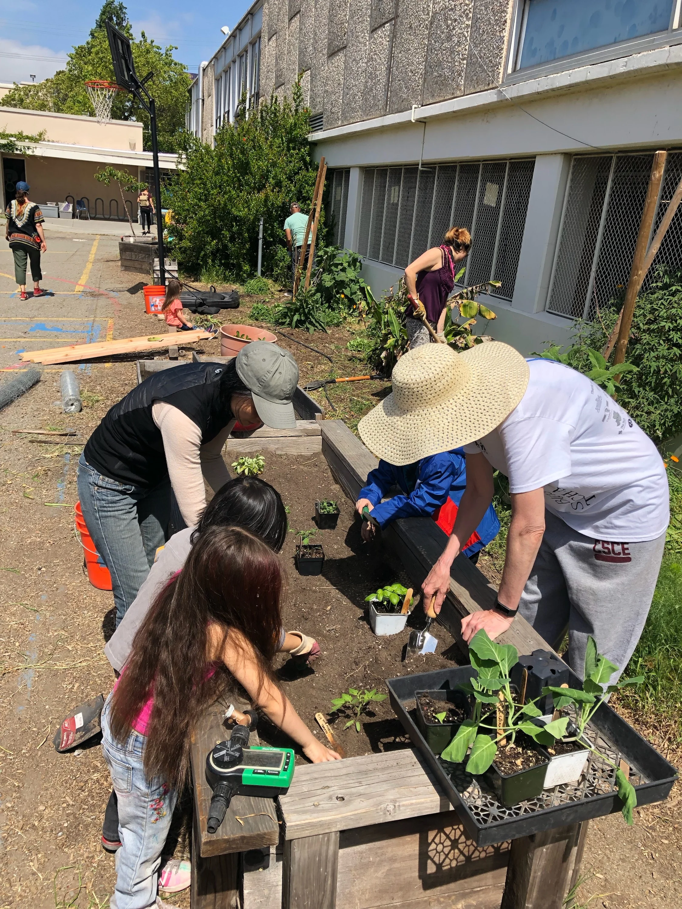 Pictured here are students and volunteers planting some new veggies into the planter-box.Another wonderful day for our students to learn the fundamentals of urban farming and the importance of learning how to nurture living things that can in-turn n…