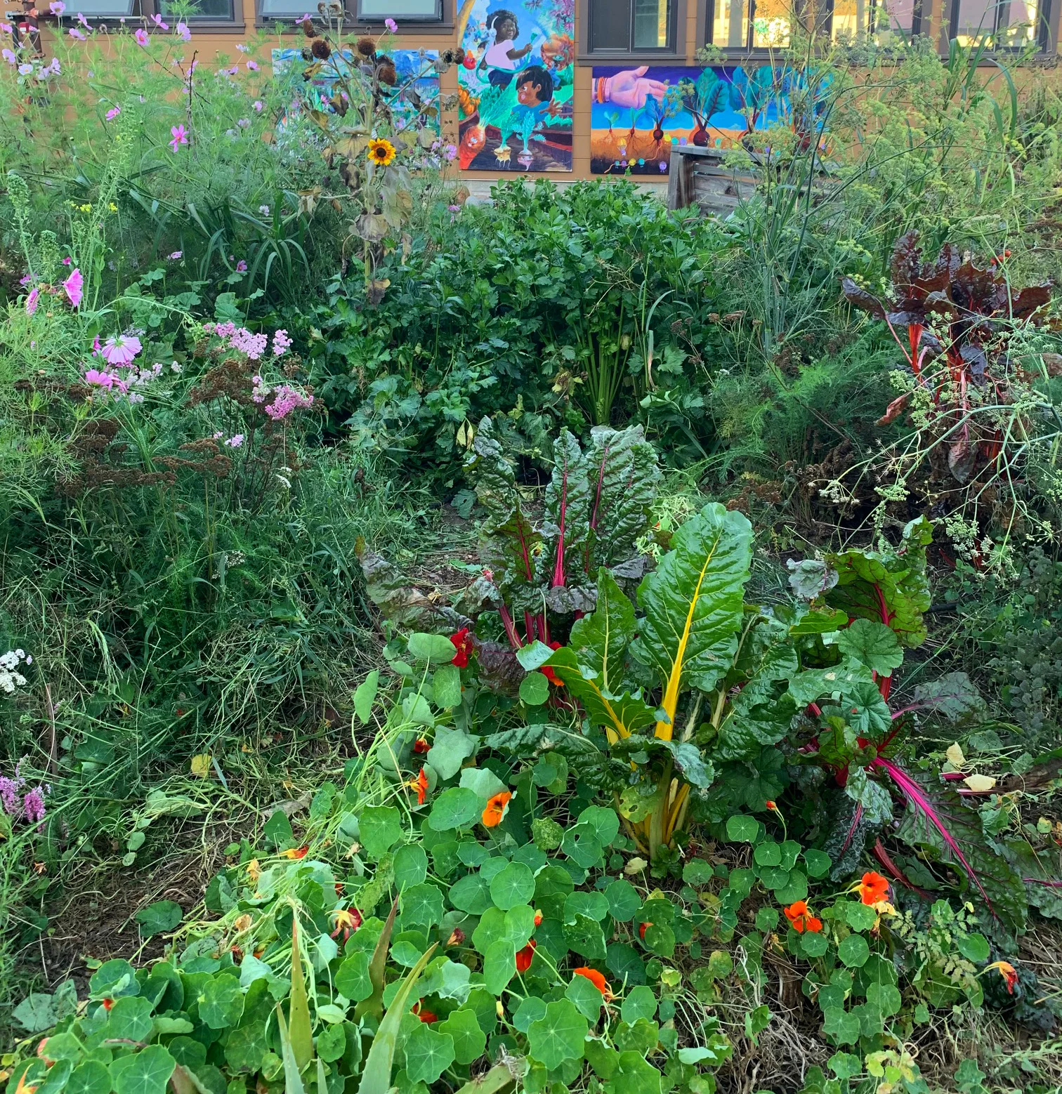 Chard, kale and flowers in our garden located at City Slicker Farms .