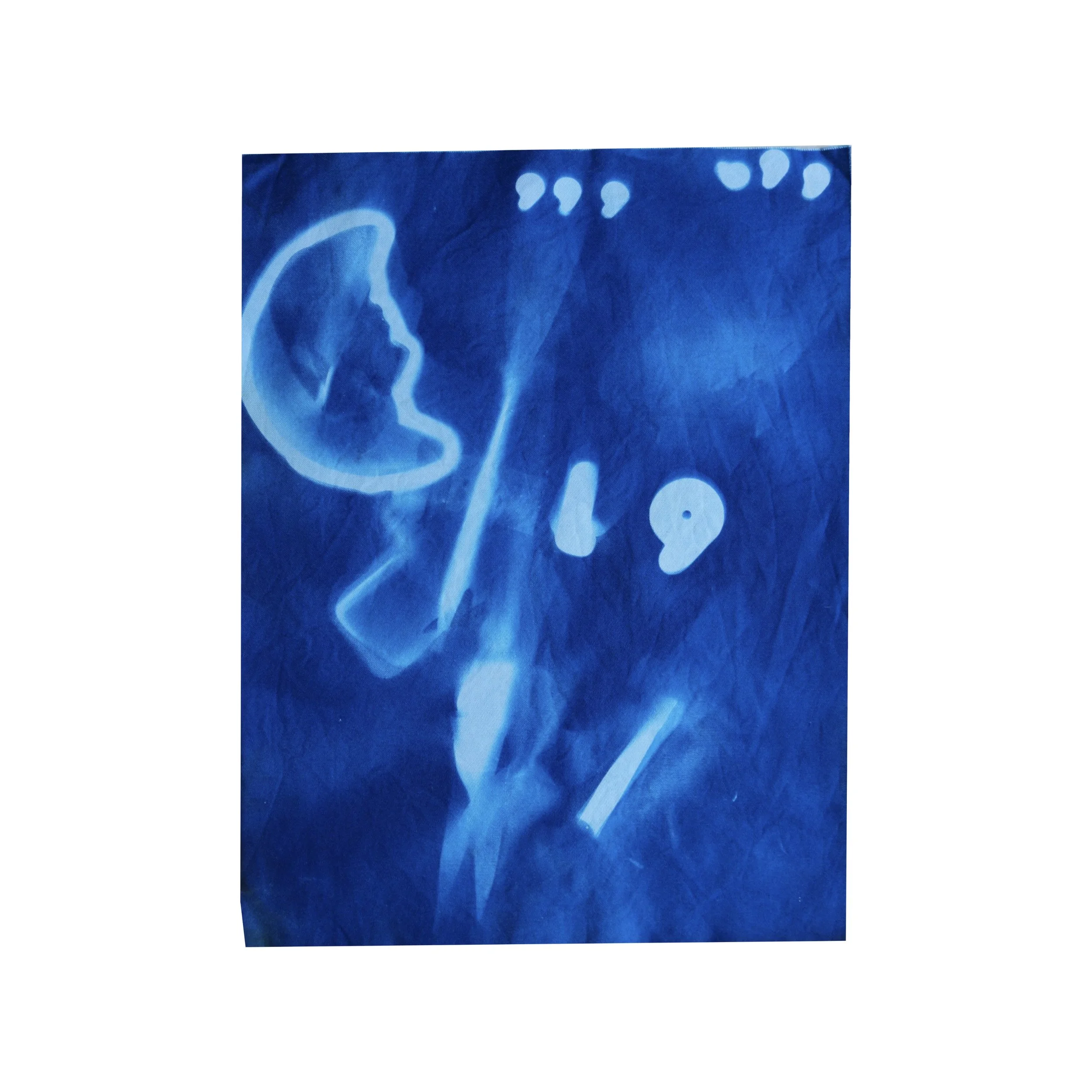   Hector A. T. G.    Community School for Creative Education&nbsp;| 2nd Grade      67   (2026)  Found Objects | Jacquard Cyanotype Fabric Sheets    Cyanotype printmaking is an early photography and printmaking process that uses special light-sensitiv