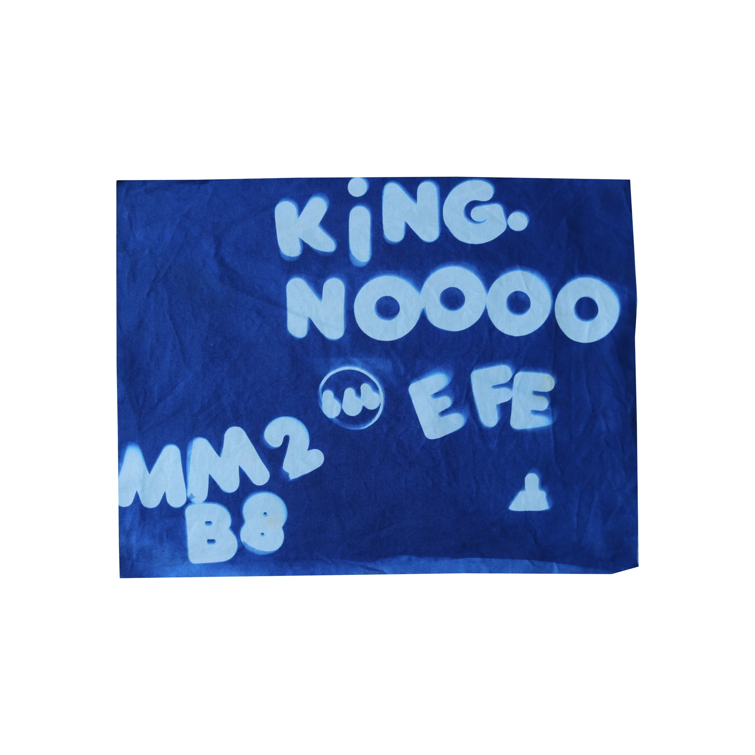   Miguel F.&nbsp;    Community School for Creative Education&nbsp;| 1st Grade     King. Noooo  (2026)  Found Objects | Jacquard Cyanotype Fabric Sheets    Cyanotype printmaking is an early photography and printmaking process that uses special light-s