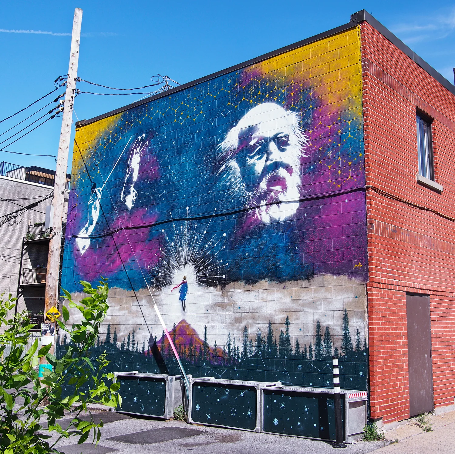LA VOIE LACTÉE - Tribute to Hubert Reeves - 9 x 7 m / Montreal (CA) / DeLorimier & Bélanger / 2018