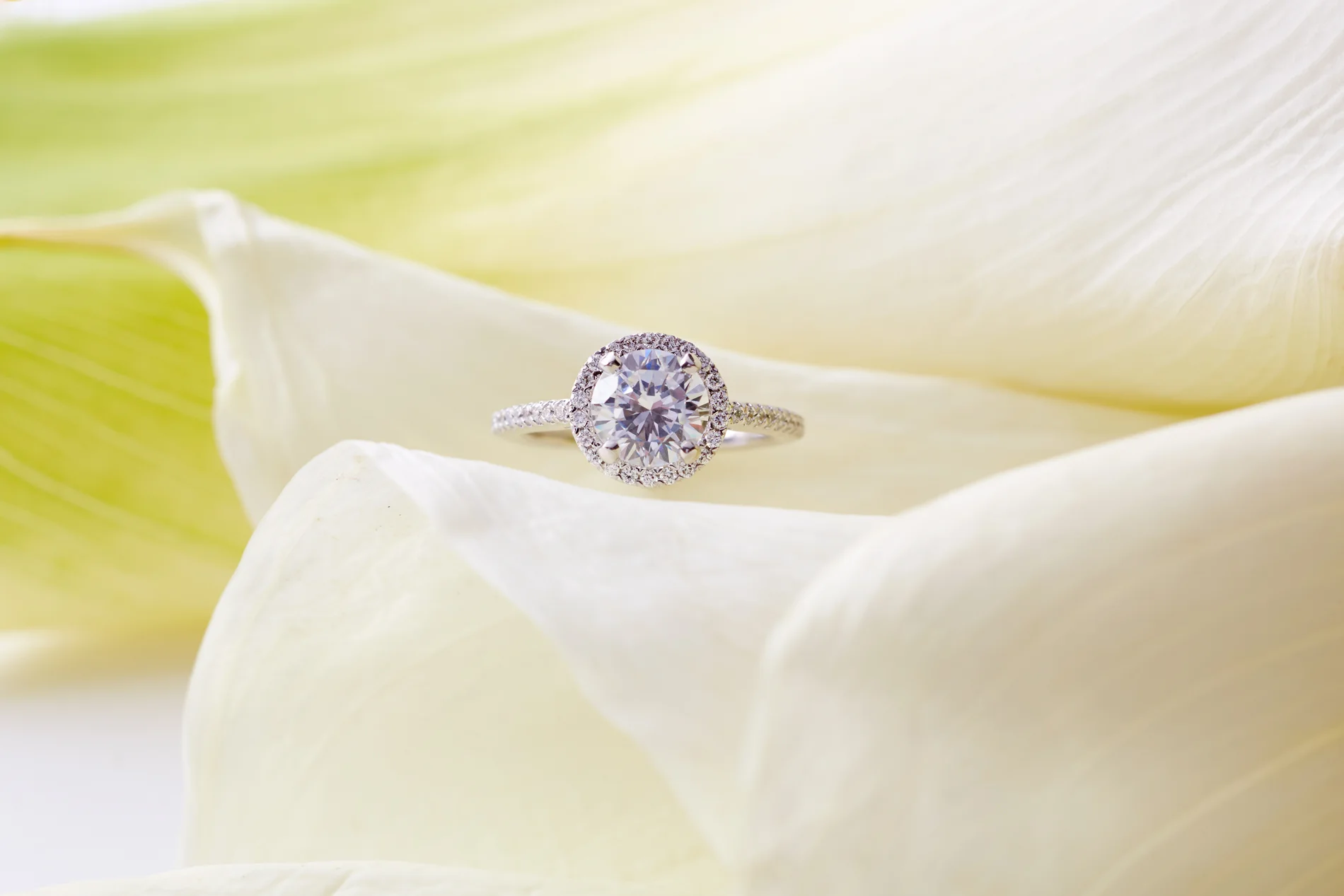 Product photography Jewelry Derek Israelsen Halo Diamond Yellow