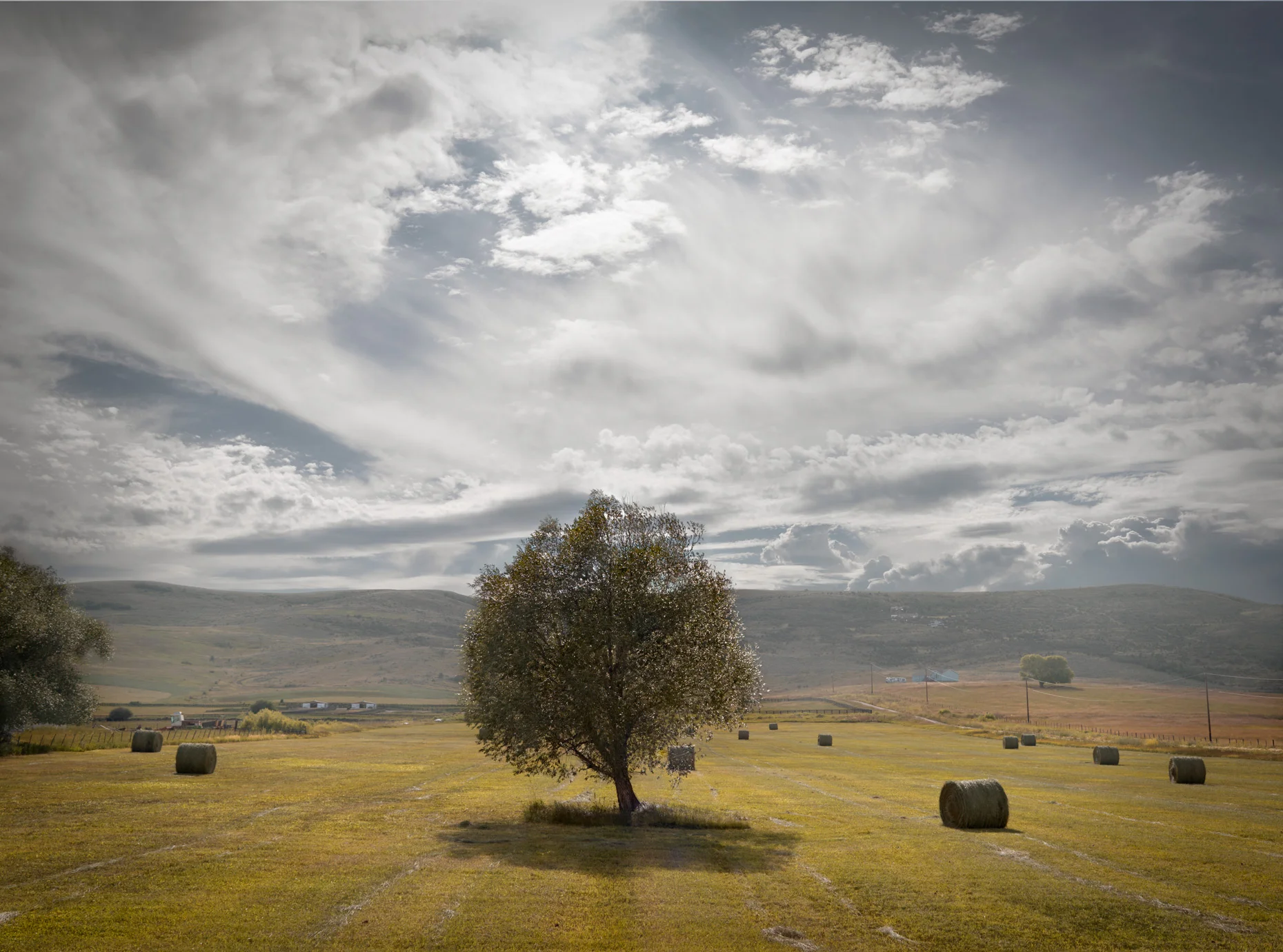 Travel Photography Derek Israelsen 044 Tree Landscape