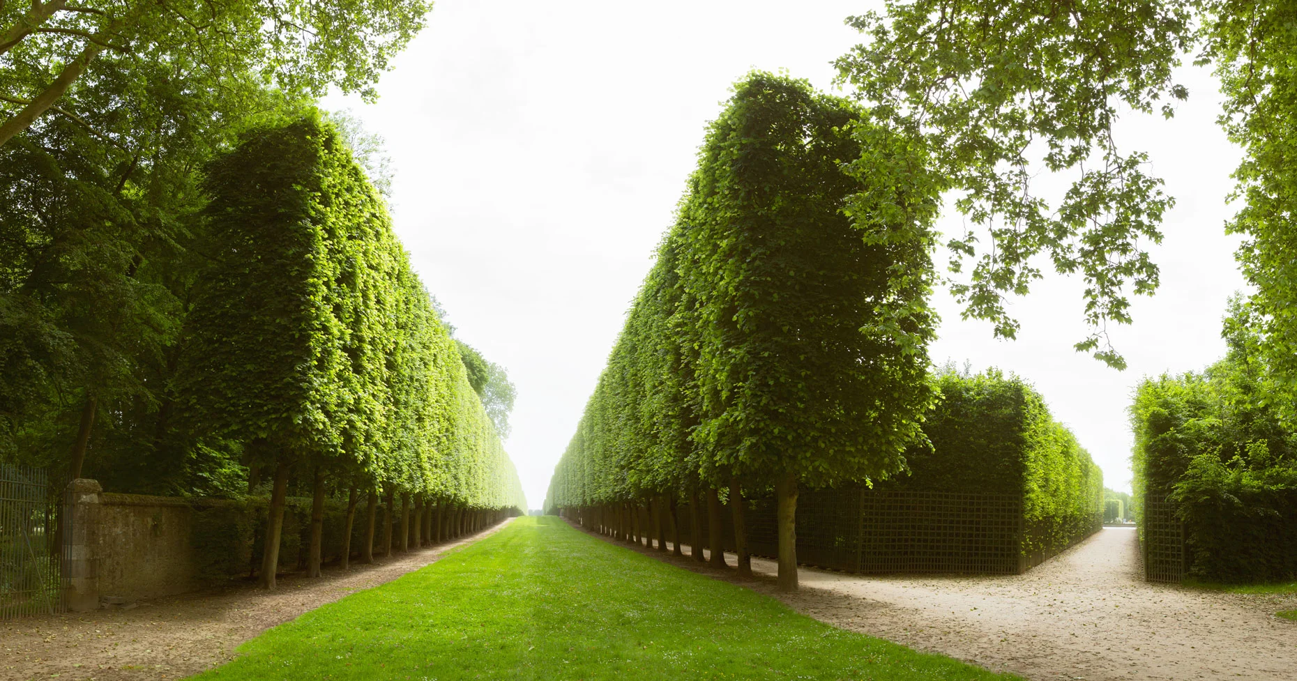 Travel Photography Derek Israelsen 054 Versailles Row of Trees