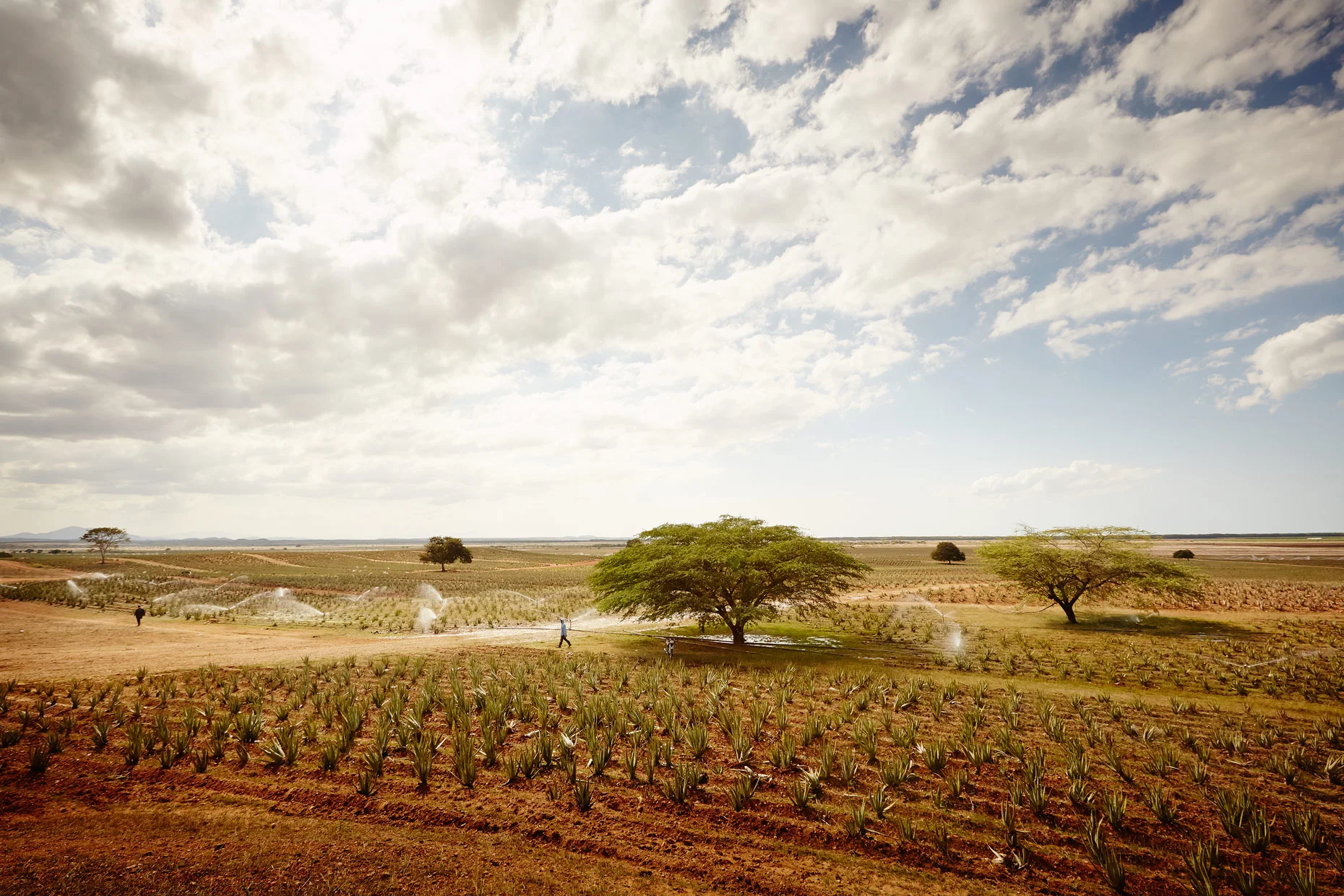Travel Photography Dominican Republic Derek Israelsen Landscape