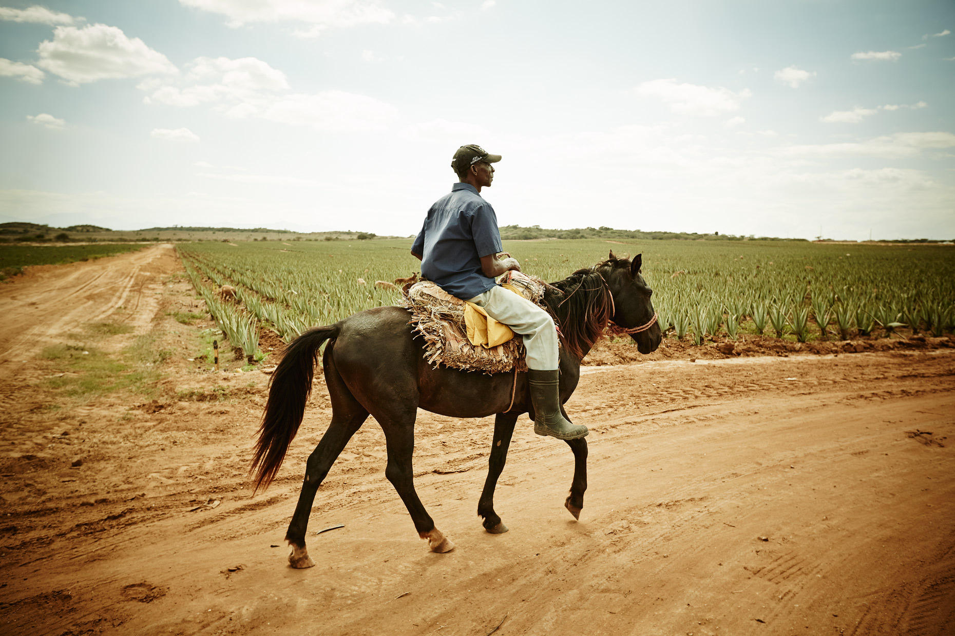Travel Photography Dominican Republic Derek Israelsen Riding Horse