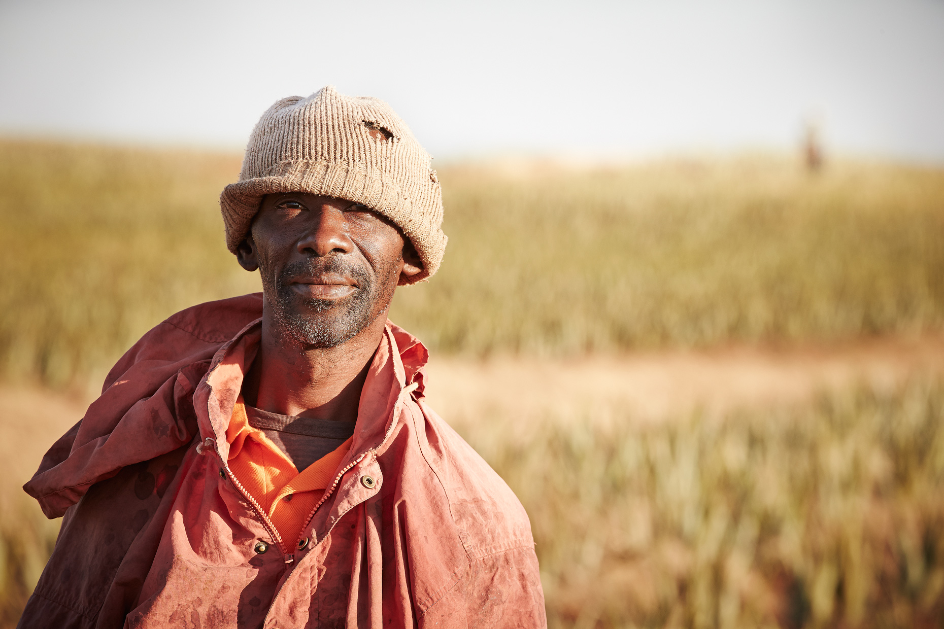 Travel Photography Dominican Republic Derek Israelsen Harvesting