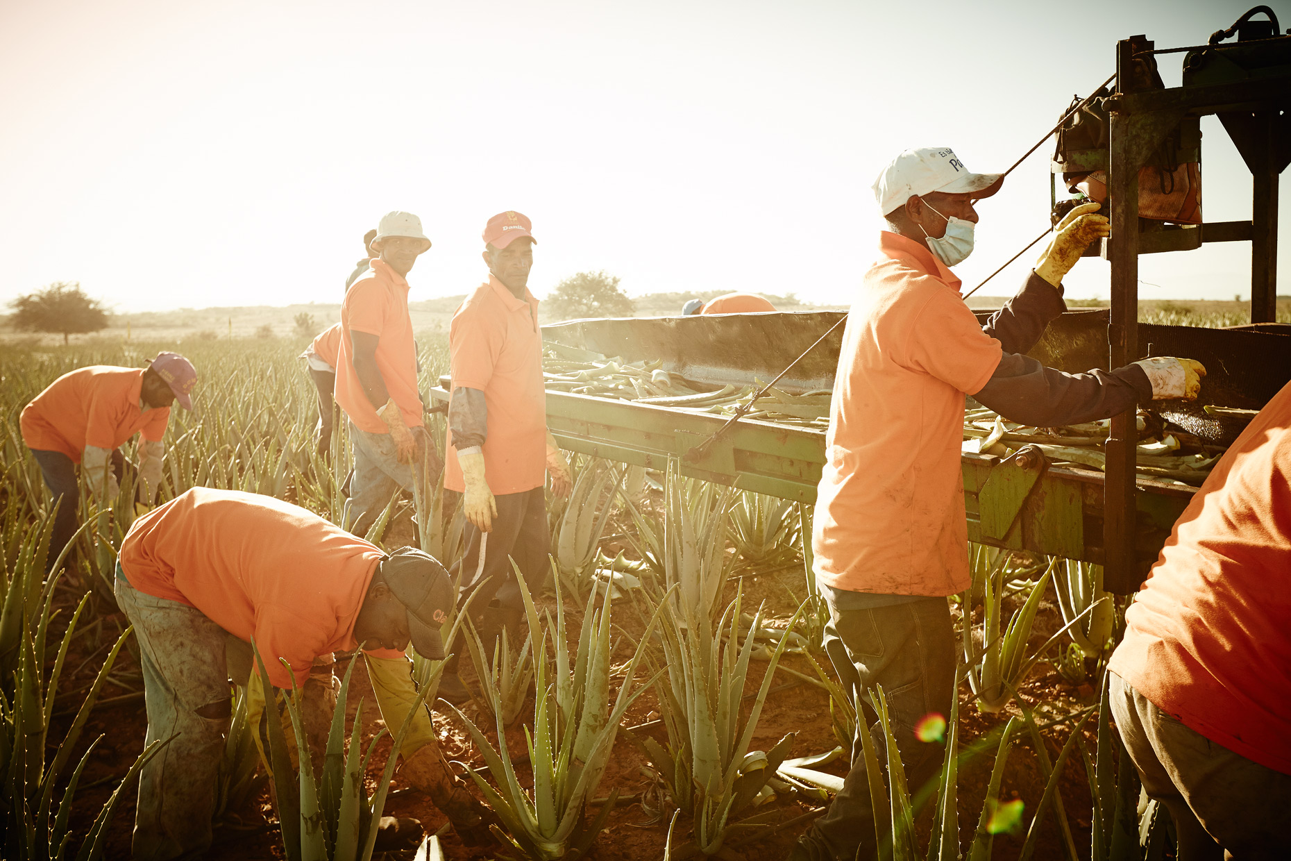 Travel Photography Dominican Republic Derek Israelsen Teamwork