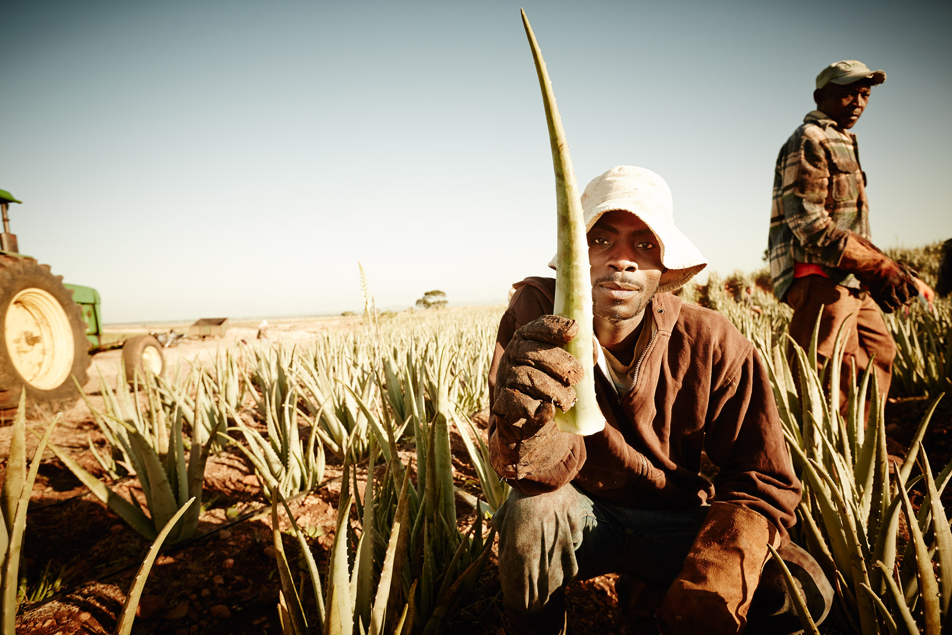 Travel Photography Dominican Republic Derek Israelsen Holding Aloe