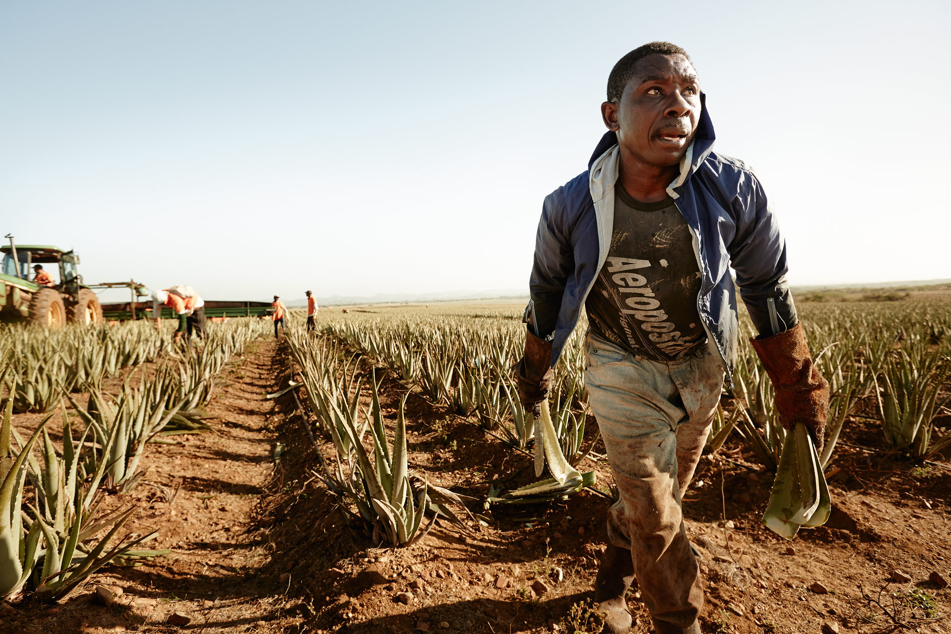 Travel Photography Dominican Republic Derek Israelsen Farming Aloe