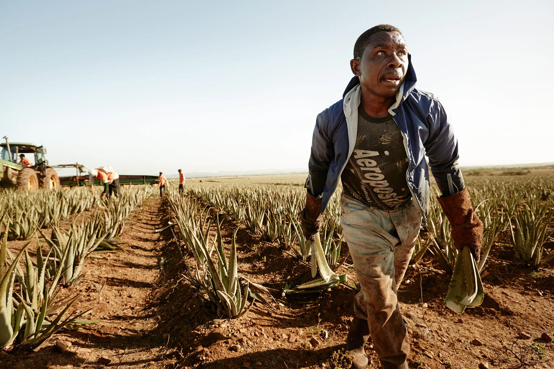 Travel Photography Dominican Republic Derek Israelsen Farming Aloe