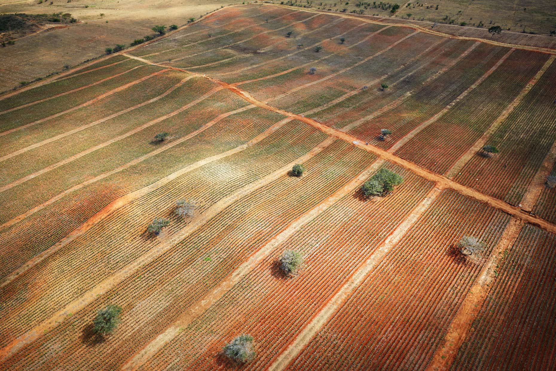 Travel Photography Dominican Republic Derek Israelsen Aerial Fields