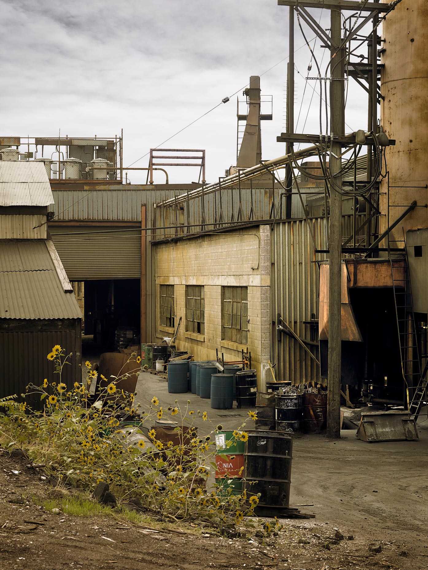 Projects-Editorial-Photography-Derek-Israelsen-019-Sunflowers-Foundry.jpg