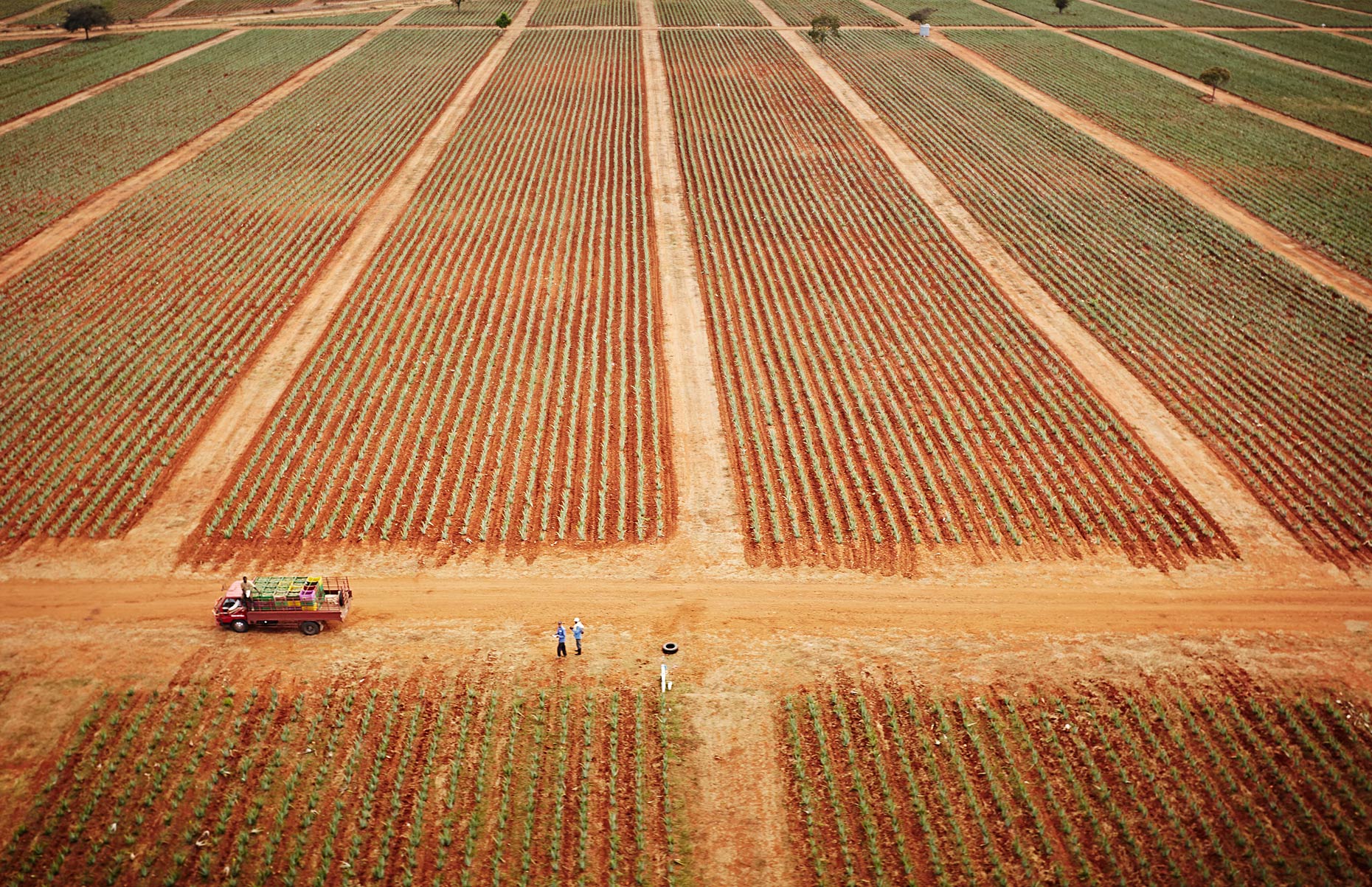 Travel Photography Dominican Republic Derek Israelsen Aerial Aloe