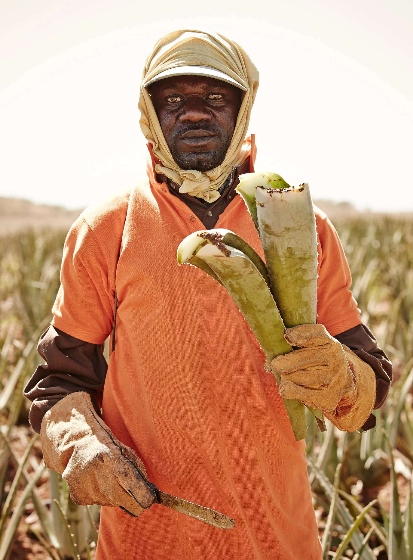 Derek Israelsen Domincan Republic Aloe Farming
