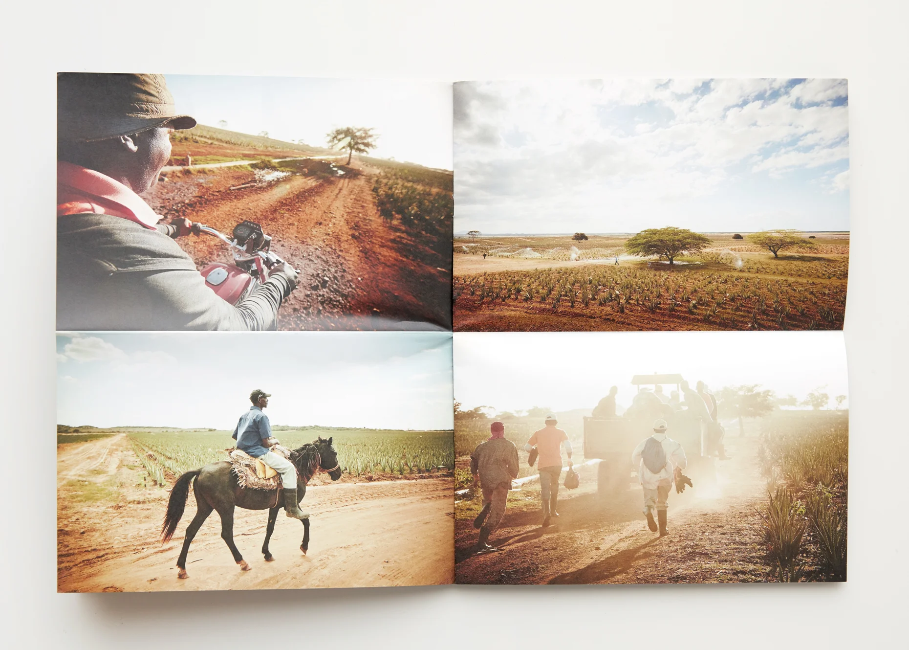 Travel Photography Summer Promo Page 4