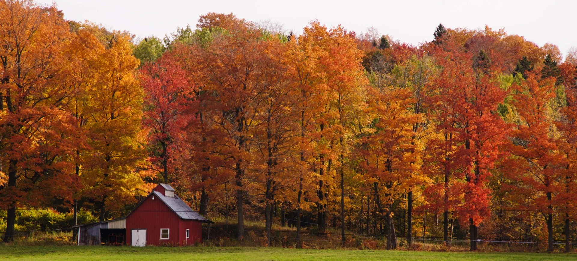Beer Bike Tours Vermont Fall Leaves Tour