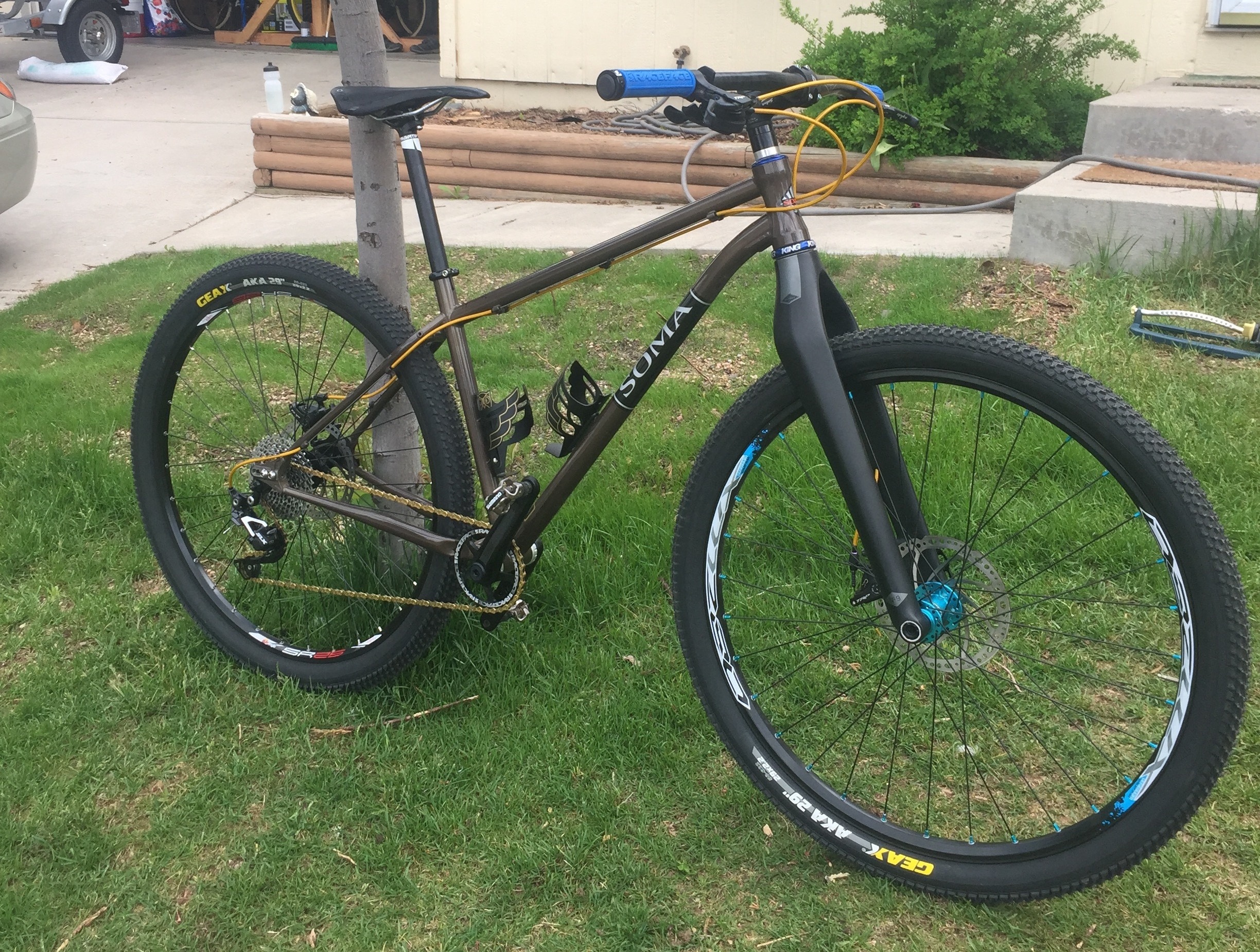 soma carbon fork