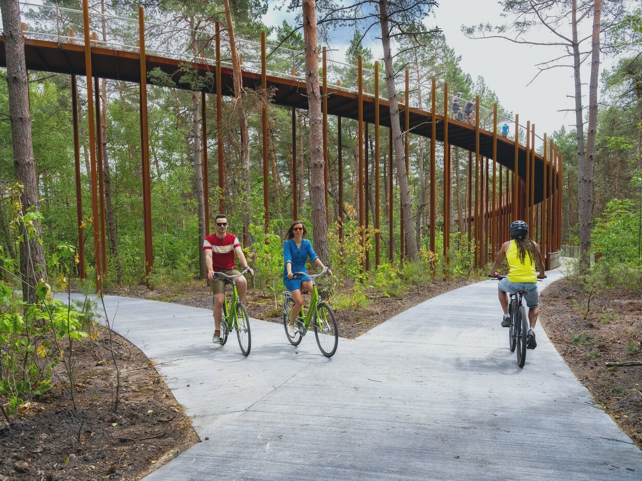 fietsen-door-de-bomen-in-bosland.jpeg