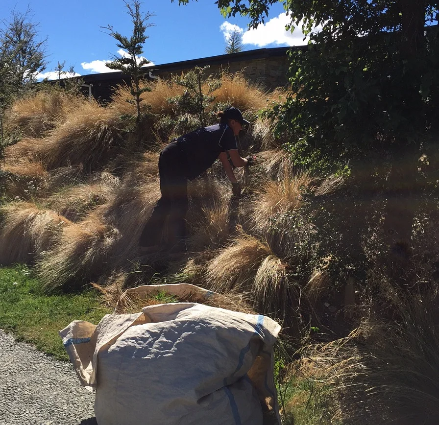 Binns Property Works Weeding.JPG