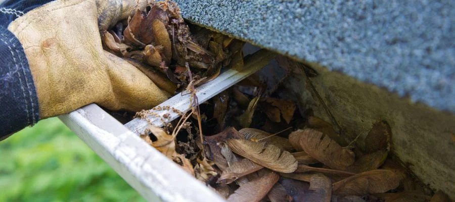 bigstock-Fall-Cleanup-Leaves-In-Gutte-3121364-900x400.jpg