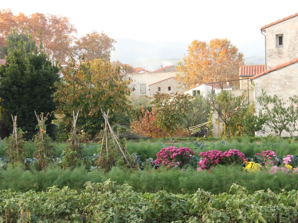 A Fall Céret scene.