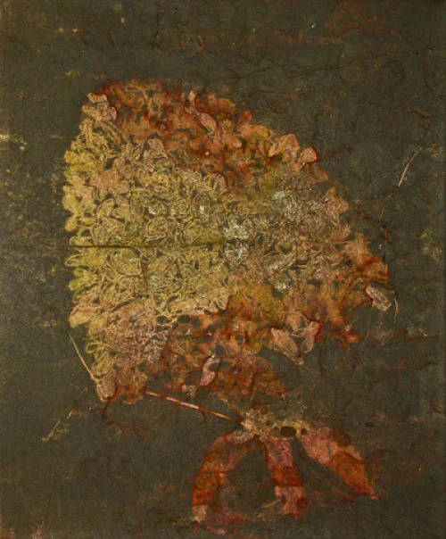Hydrangea , rust print on rice paper to canvas, Gerda van Leeuwen.