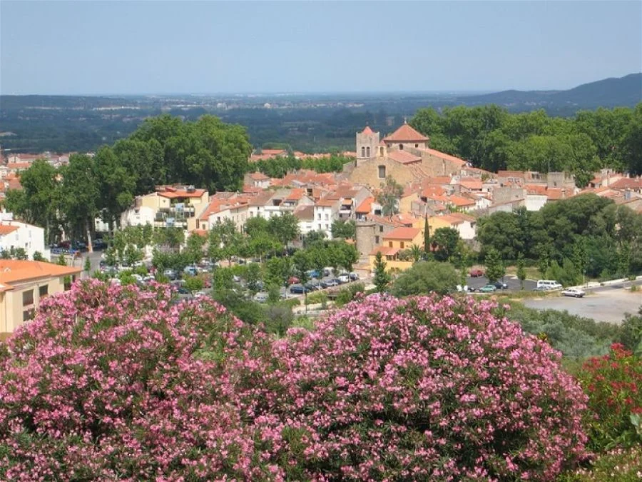 Céret with cherry trees in the foreground and the Mediterranean in the distance. 