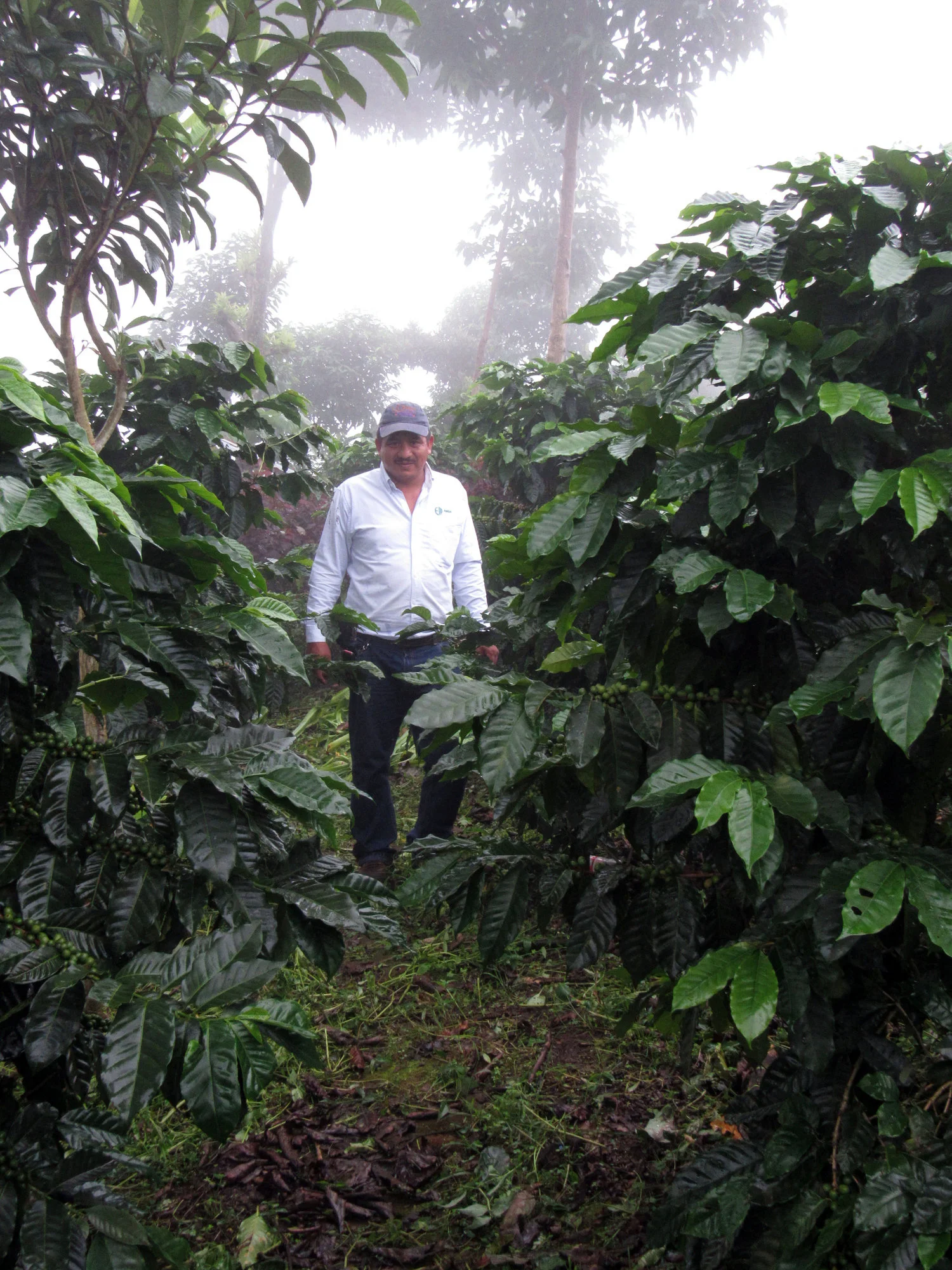 Now Roasting (geek post)