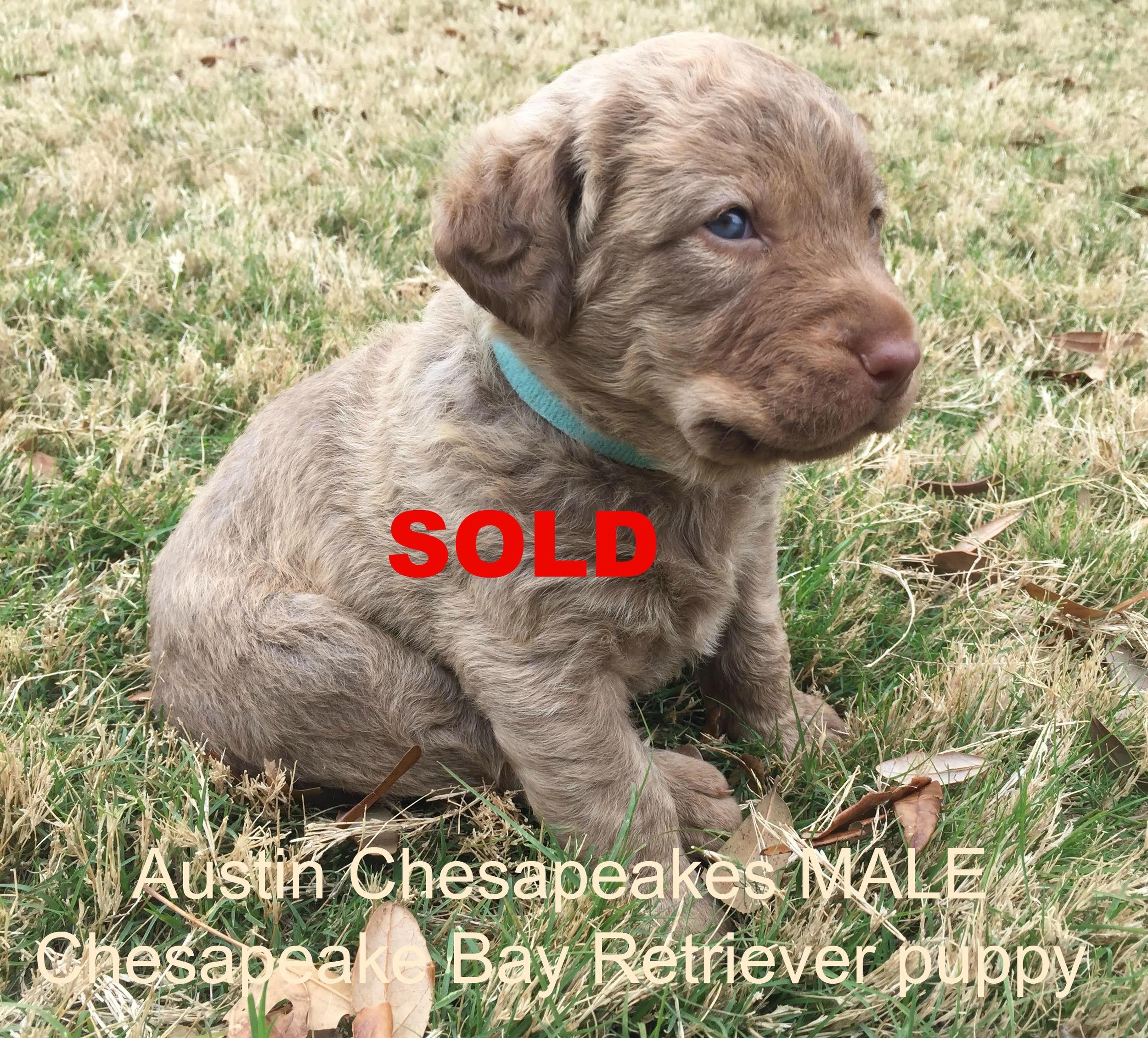 3 Weeks Turquoise_SOLD.jpg