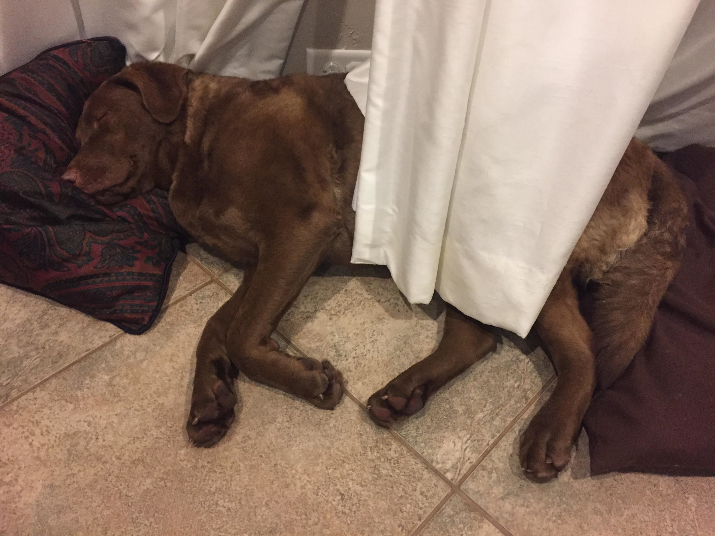 Purple_11 mos_sleeping.jpg