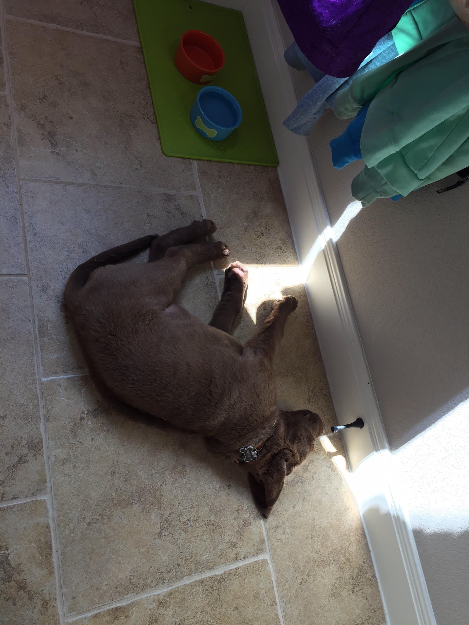 Black_home_laundry room.jpg