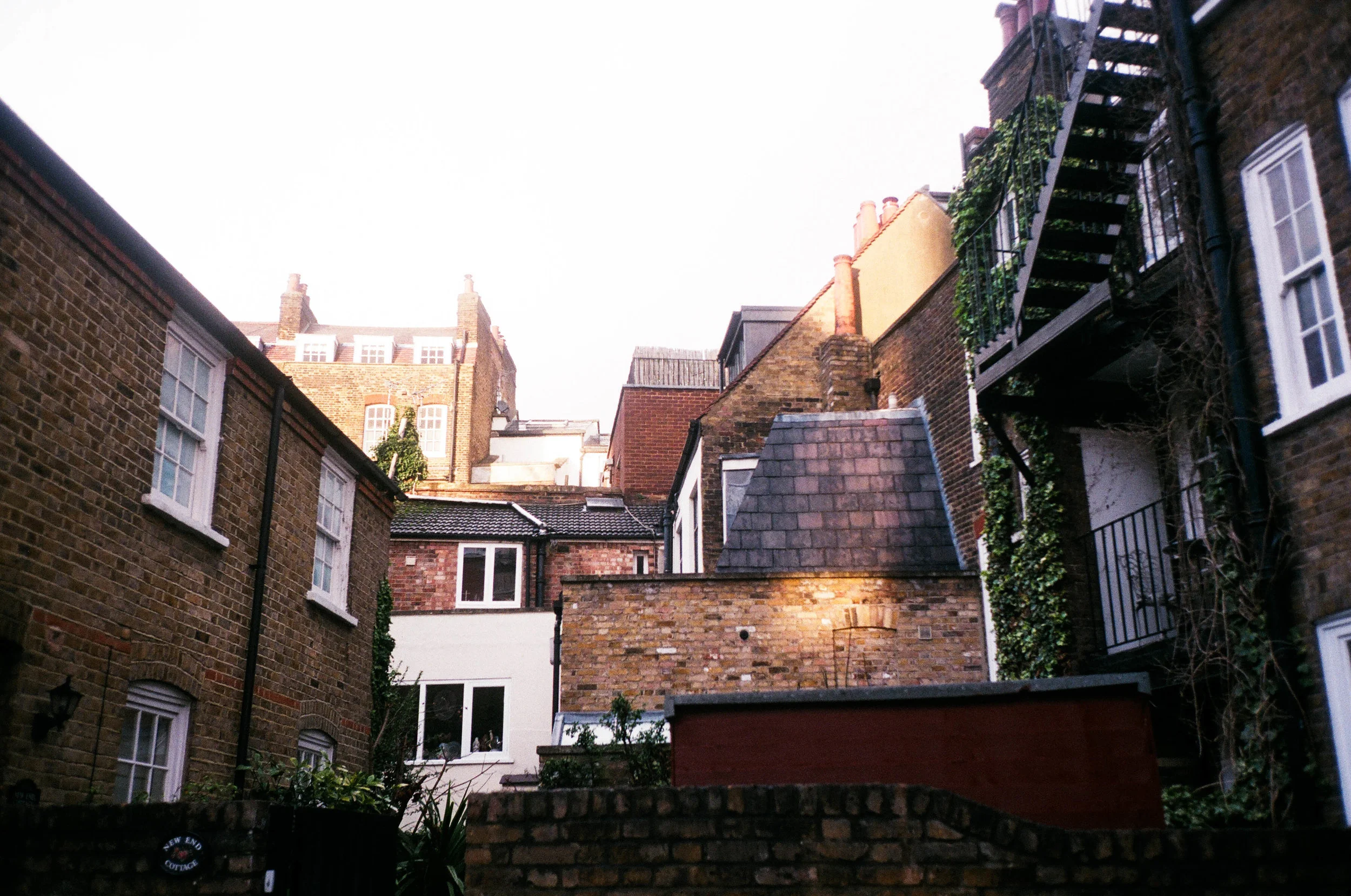 contrast1-15.jpg