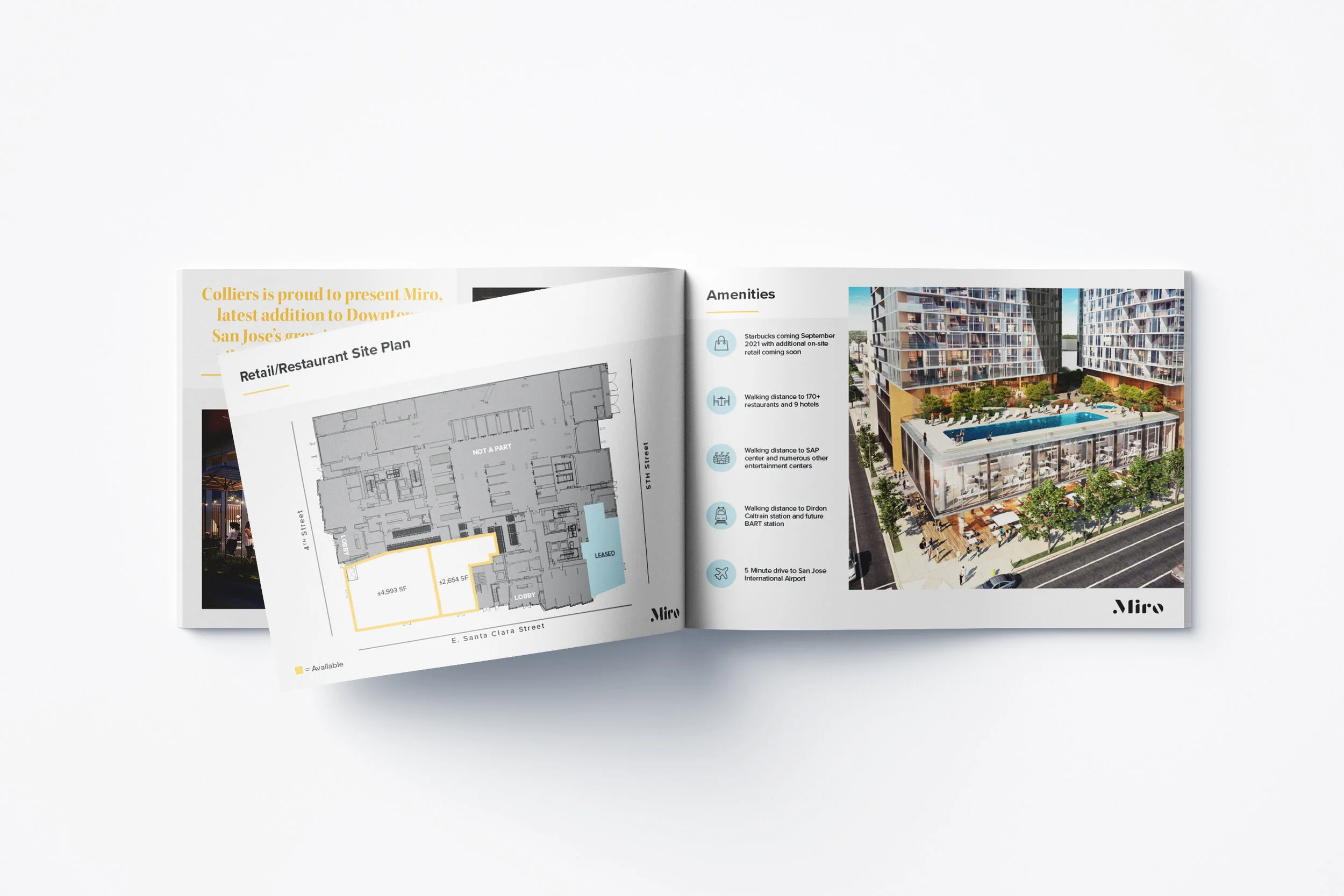 Miro_booklet_3.jpg